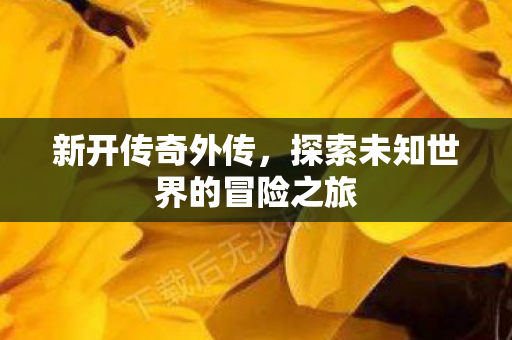 新开传奇外传,探索未知世界的冒险之旅 新开传奇外传,探索未知世界的冒险之旅