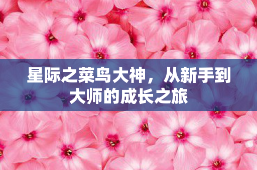 星际之菜鸟大神,从新手到大师的成长之旅 星际之菜鸟大神,从新手到大师的成长之旅