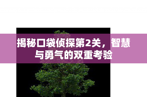 揭秘口袋侦探第2关,智慧与勇气的双重考验 揭秘口袋侦探第2关,智慧与勇气的双重考验
