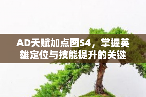 AD天赋加点图S4，掌握英雄定位与技能提升的关键