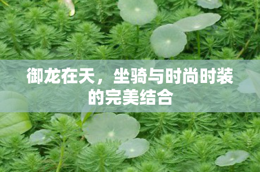 御龙在天，坐骑与时尚时装的完美结合