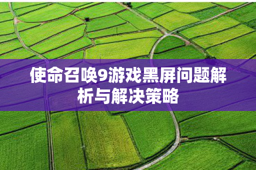 使命召唤9游戏黑屏问题解析与解决策略