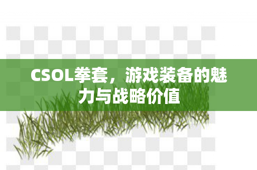CSOL拳套，游戏装备的魅力与战略价值