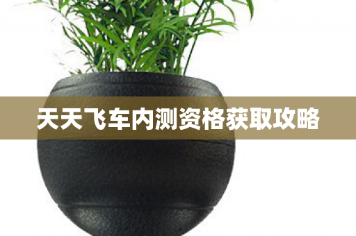 天天飞车内测资格获取攻略