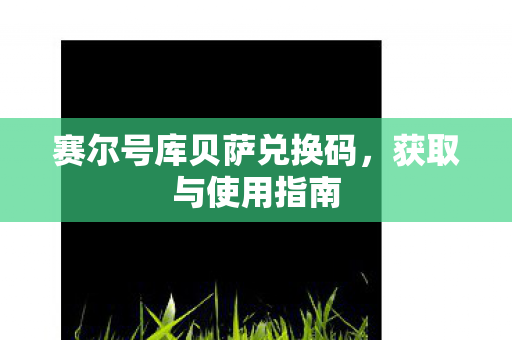 赛尔号库贝萨兑换码，获取与使用指南