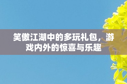 笑傲江湖中的多玩礼包，游戏内外的惊喜与乐趣