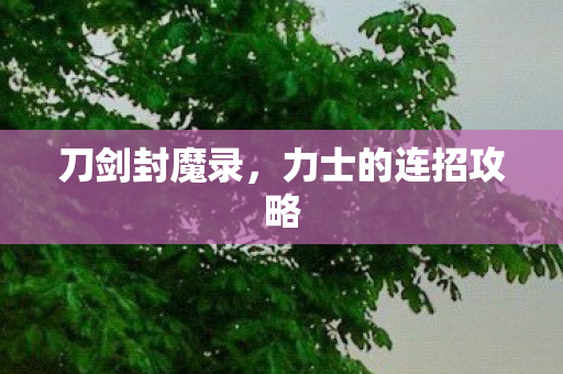 刀剑封魔录，力士的连招攻略