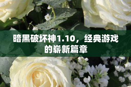 暗黑破坏神1.10，经典游戏的崭新篇章