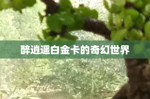 醉逍遥白金卡的奇幻世界 醉逍遥白金卡的奇幻世界