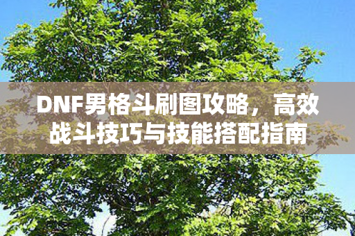 DNF男格斗刷图攻略，高效战斗技巧与技能搭配指南
