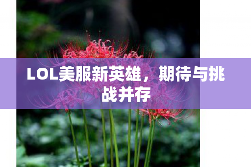 LOL美服新英雄,期待与挑战并存 LOL美服新英雄,期待与挑战并存