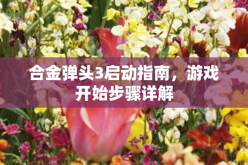 合金弹头3启动指南，游戏开始步骤详解