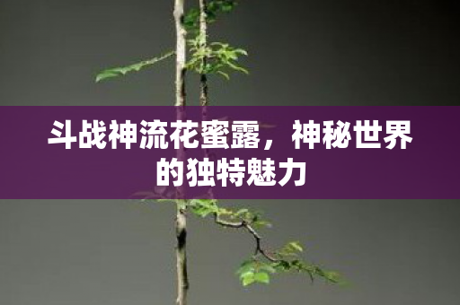 斗战神流花蜜露，神秘世界的独特魅力