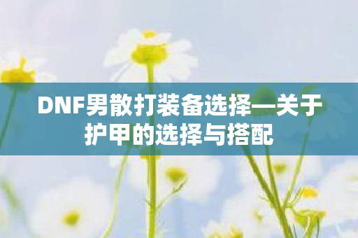 DNF男散打装备选择—关于护甲的选择与搭配