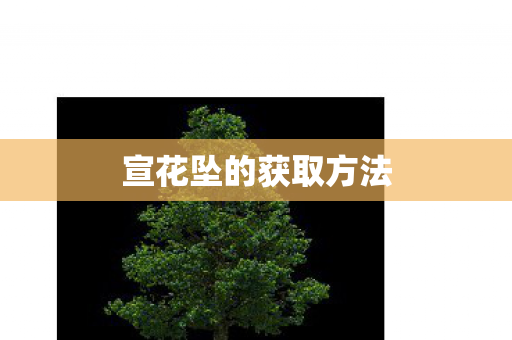 宣花坠的获取方法