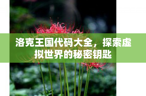 洛克王国代码大全，探索虚拟世界的秘密钥匙