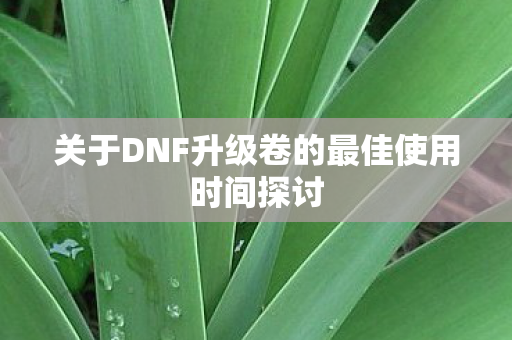 关于DNF升级卷的最佳使用时间探讨 关于DNF升级卷的最佳使用时间探讨