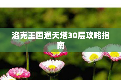 洛克王国通天塔30层攻略指南 洛克王国通天塔30层攻略指南