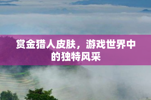 赏金猎人皮肤，游戏世界中的独特风采