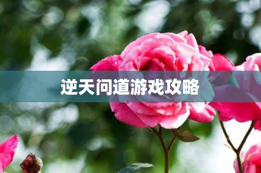 逆天问道游戏攻略 逆天问道游戏攻略