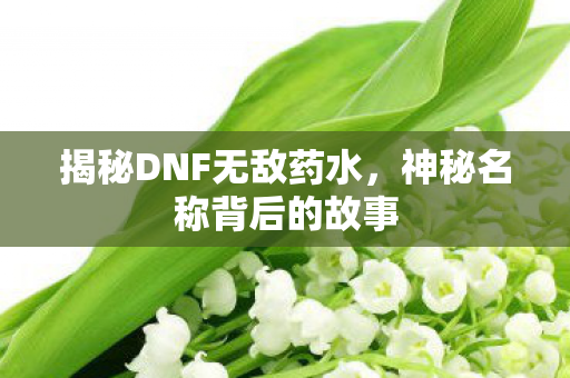揭秘DNF无敌药水，神秘名称背后的故事