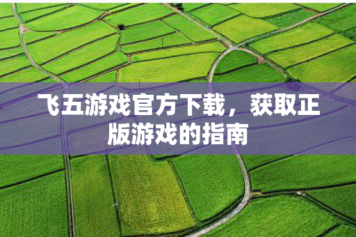 飞五游戏官方下载,获取正版游戏的指南 飞五游戏官方下载,获取正版游戏的指南