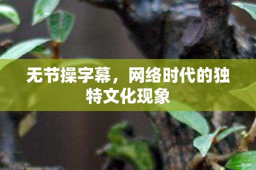 无节操字幕，网络时代的独特文化现象