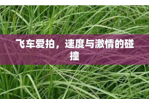 飞车爱拍，速度与激情的碰撞