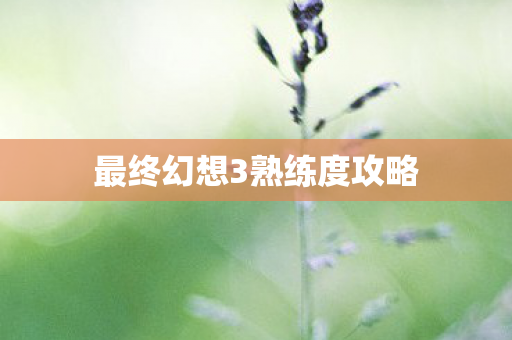 最终幻想3熟练度攻略