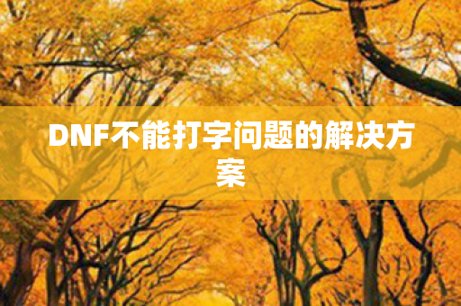 DNF不能打字问题的解决方案