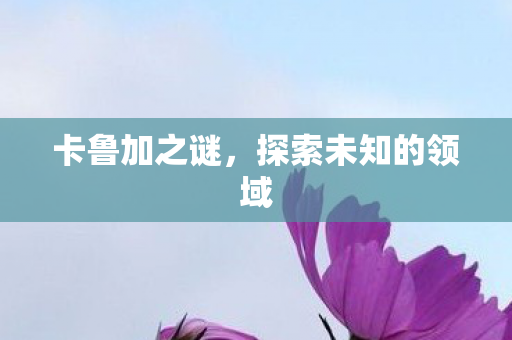 卡鲁加之谜,探索未知的领域 卡鲁加之谜,探索未知的领域