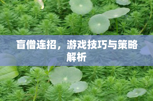 盲僧连招,游戏技巧与策略解析 盲僧连招,游戏技巧与策略解析