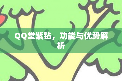 QQ堂紫钻，功能与优势解析