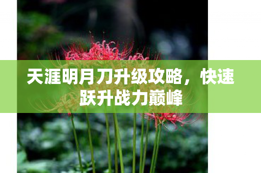 天涯明月刀升级攻略,快速跃升战力巅峰 天涯明月刀升级攻略,快速跃升战力巅峰