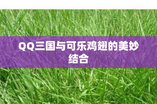 QQ三国与可乐鸡翅的美妙结合