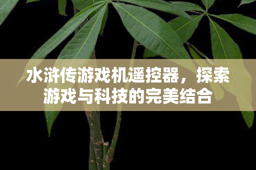 水浒传游戏机遥控器,探索游戏与科技的完美结合 水浒传游戏机遥控器,探索游戏与科技的完美结合