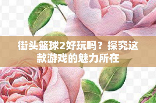 街头篮球2好玩吗？探究这款游戏的魅力所在