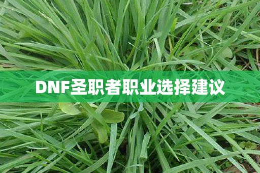 DNF圣职者职业选择建议