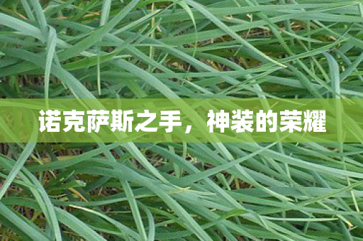 诺克萨斯之手,神装的荣耀 诺克萨斯之手,神装的荣耀