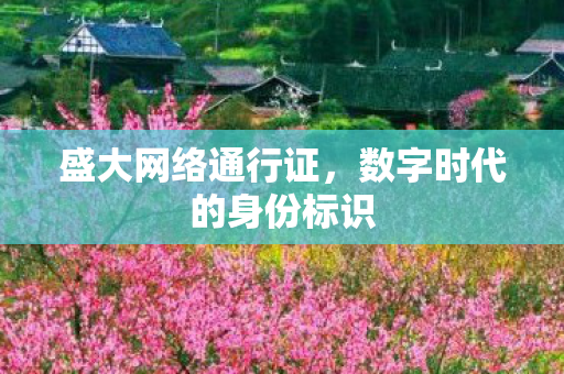 盛大网络通行证，数字时代的身份标识