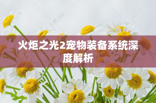 火炬之光2宠物装备系统深度解析 火炬之光2宠物装备系统深度解析