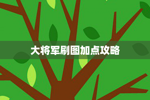 大将军刷图加点攻略