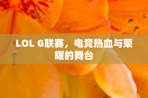 LOL G联赛，电竞热血与荣耀的舞台
