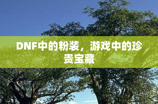 DNF中的粉装，游戏中的珍贵宝藏