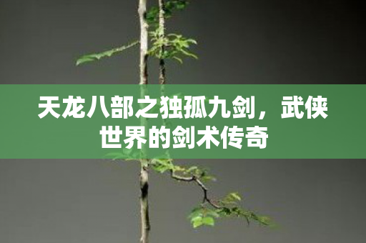 天龙八部之独孤九剑，武侠世界的剑术传奇