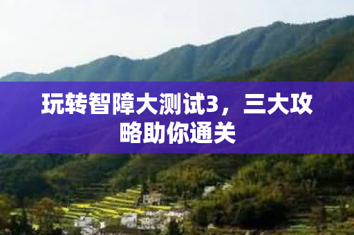 玩转智障大测试3，三大攻略助你通关