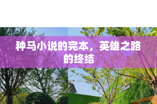 种马小说的完本,英雄之路的终结 种马小说的完本,英雄之路的终结