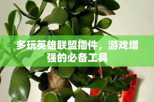 多玩英雄联盟插件,游戏增强的必备工具 多玩英雄联盟插件,游戏增强的必备工具