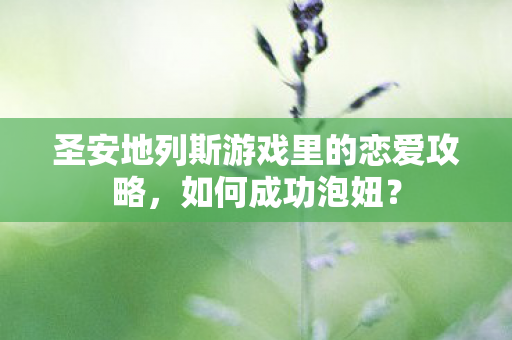 圣安地列斯游戏里的恋爱攻略，如何成功泡妞？
