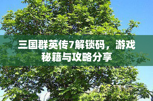 三国群英传7解锁码，游戏秘籍与攻略分享